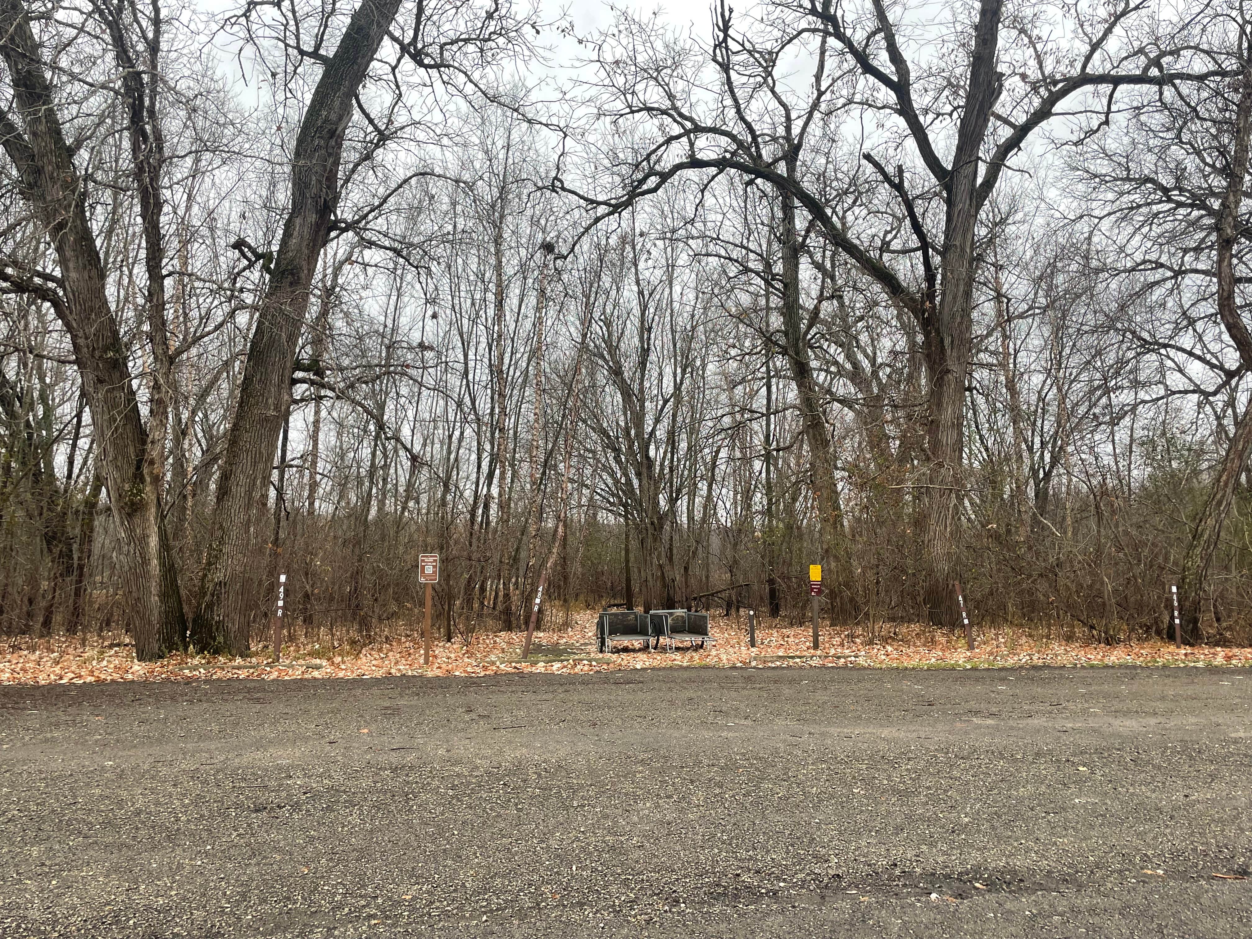 Camper submitted image from Island Campground — Merrick State Park - 2