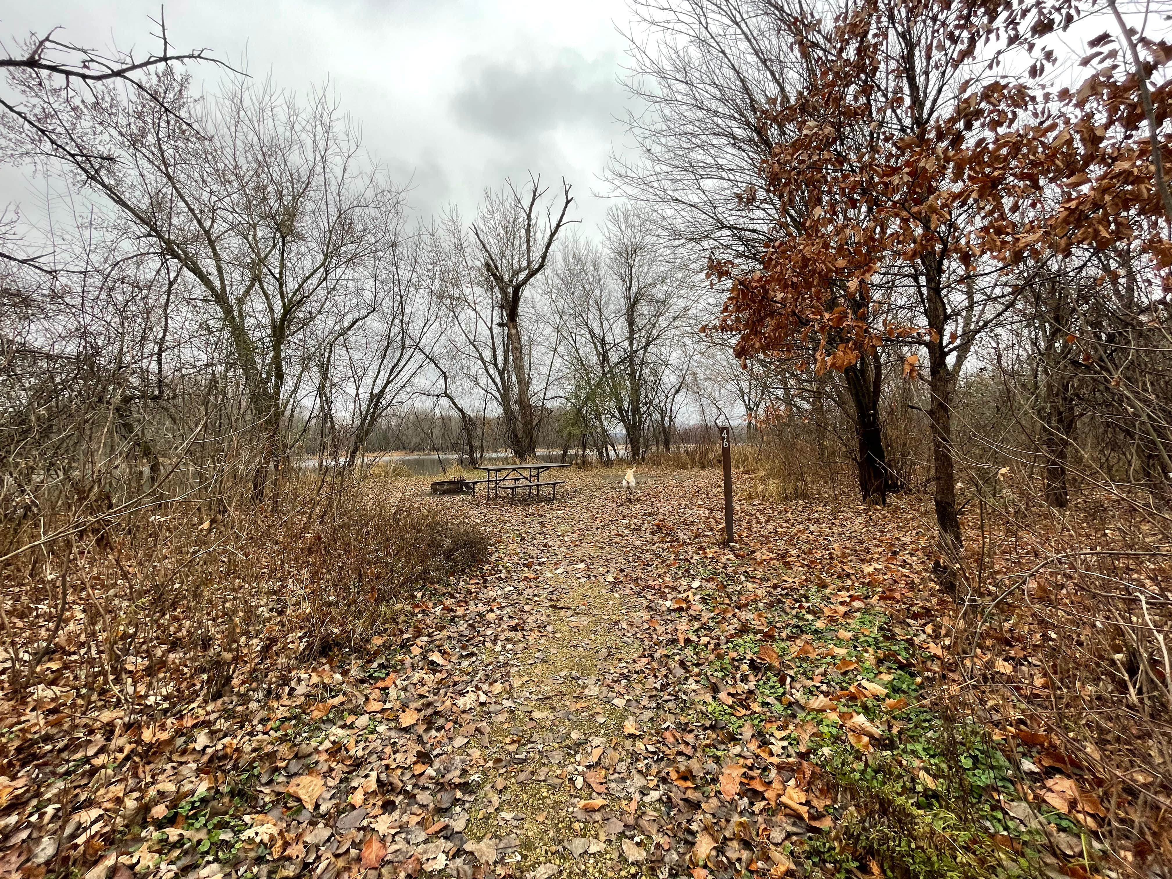 Camper-submitted photo at Island Campground — Merrick State Park near Humbird, WI
