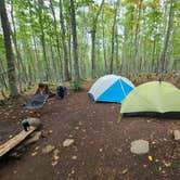 Review photo of Island Mine Campground — Isle Royale National Park by Tori K., November 12, 2024