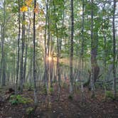 Review photo of Island Mine Campground — Isle Royale National Park by Tori K., November 12, 2024