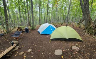 Tori K.'s photo at Island Mine Campground — Isle Royale National Park near Grand Portage, MN