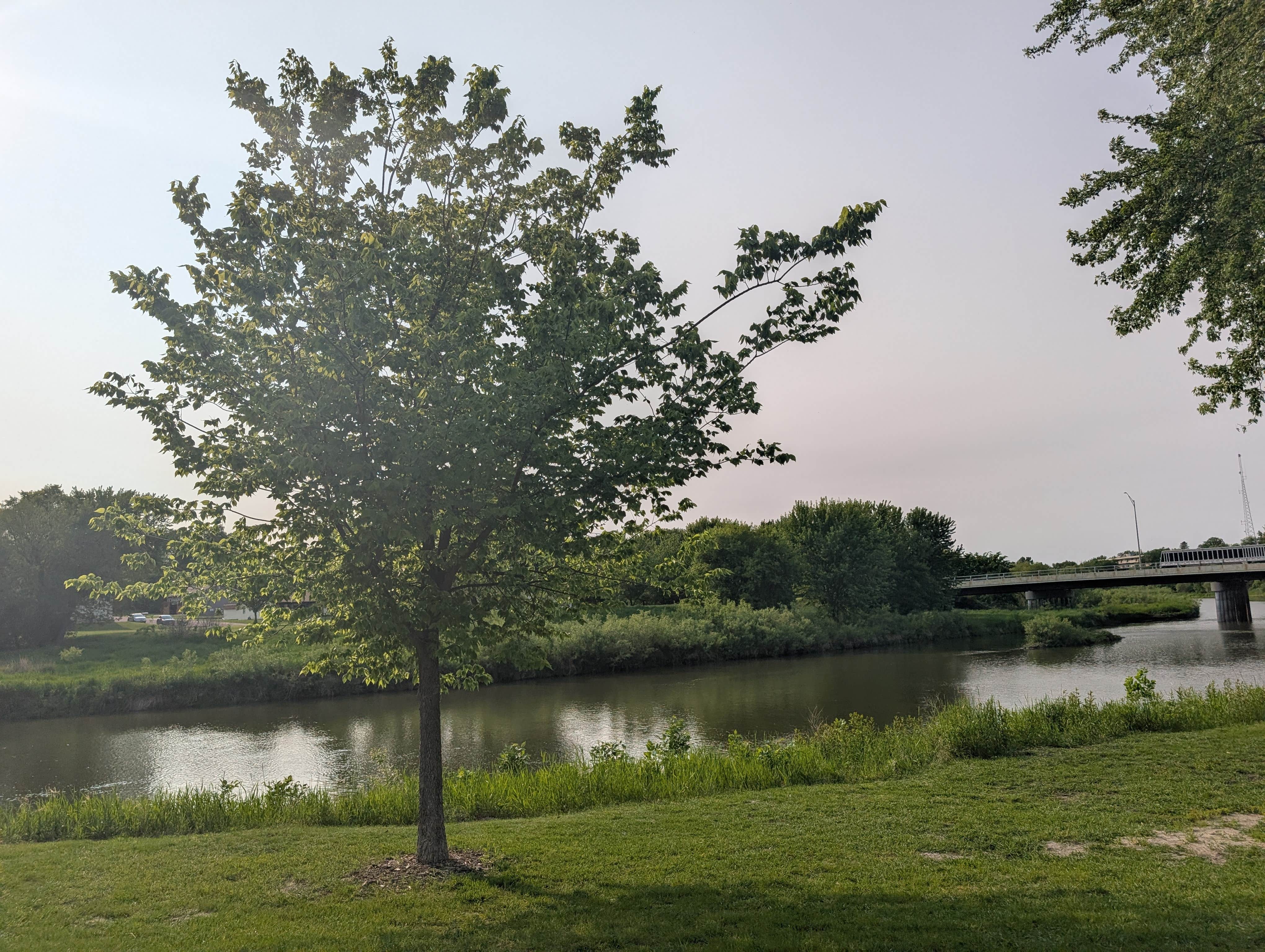Camper-submitted photo at Island Park near Comfrey, MN