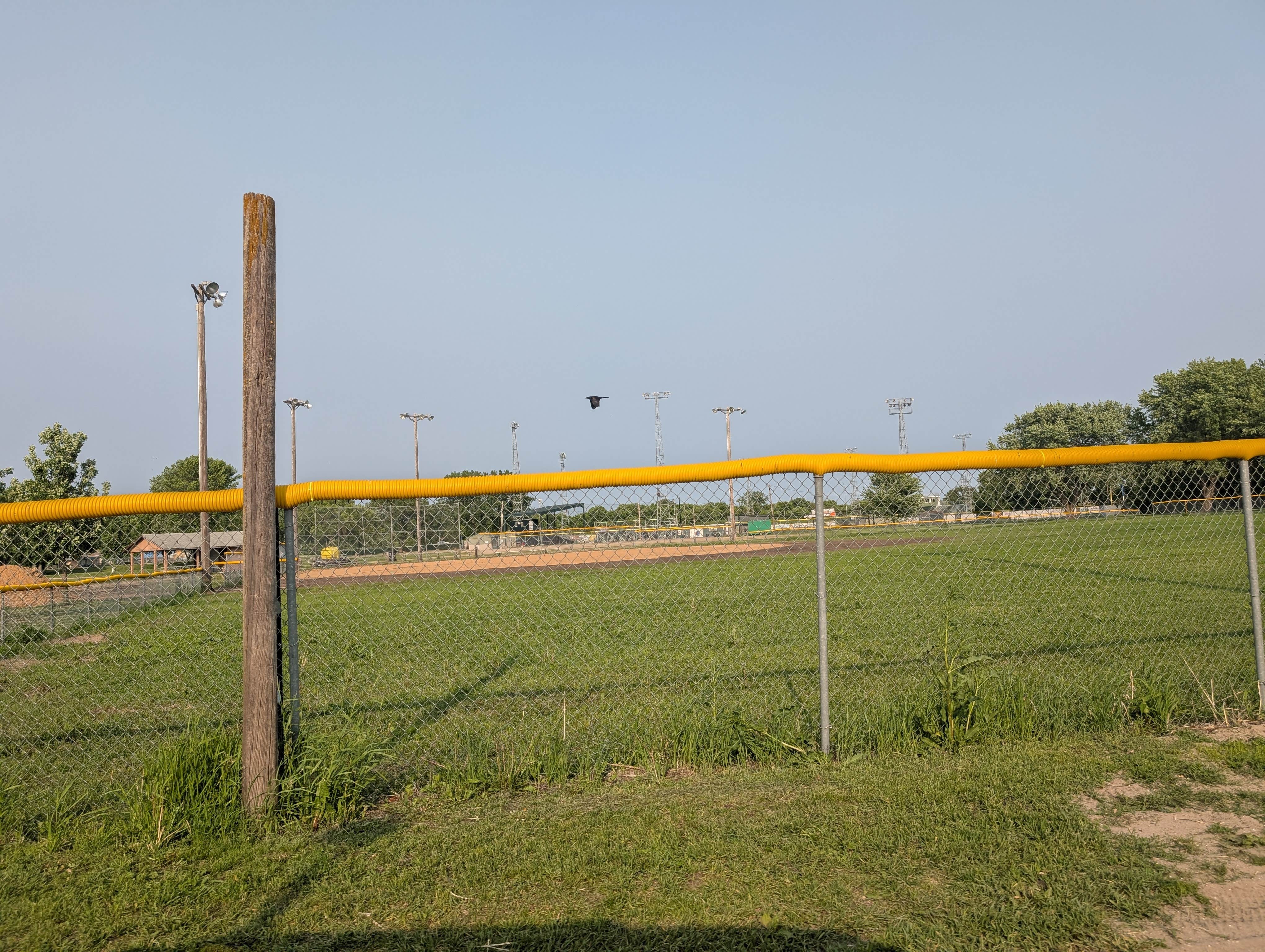 Camper-submitted photo at Island Park near Comfrey, MN