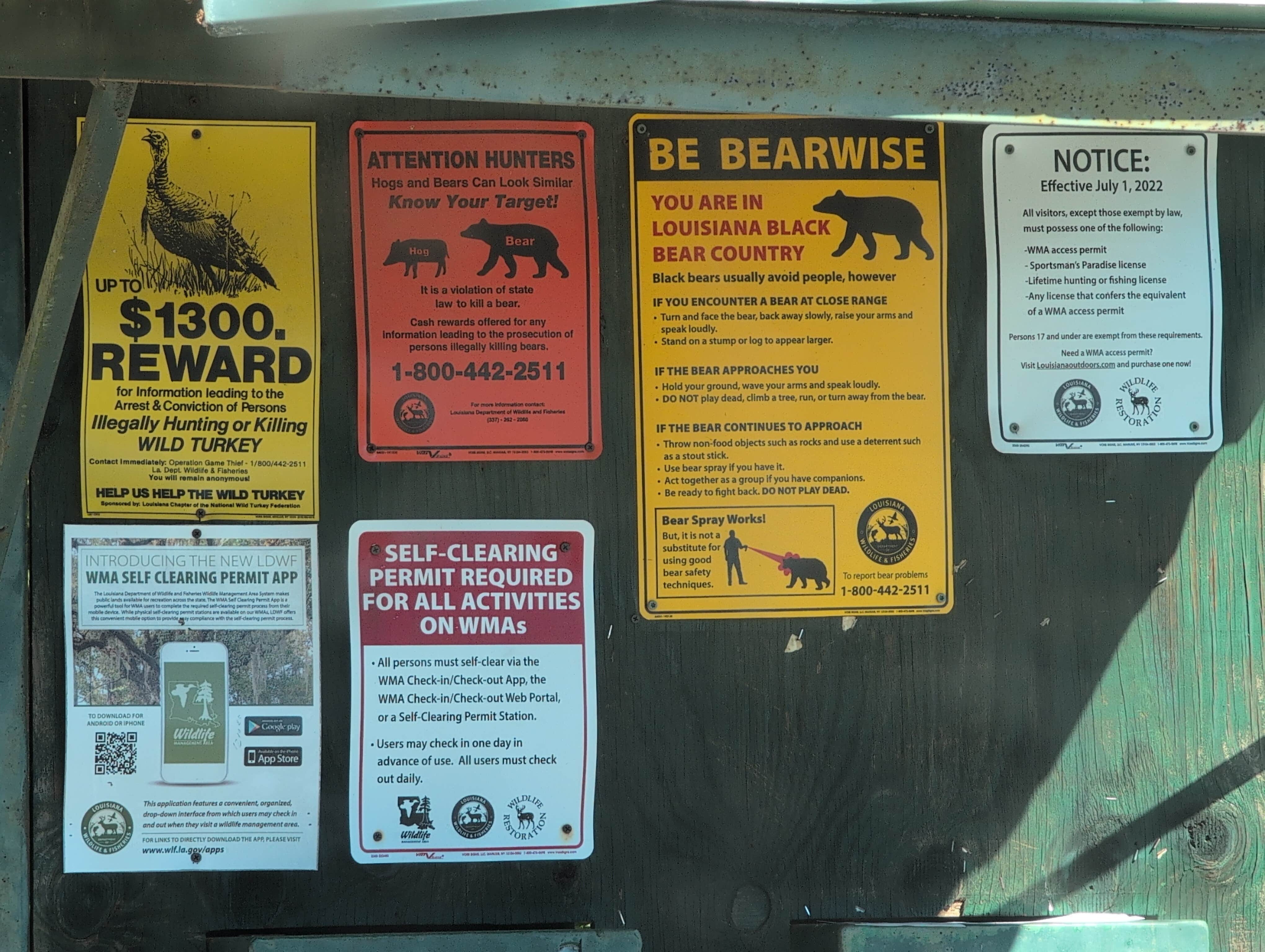 Camper submitted image from Ivan Lake Recreation Area - 1