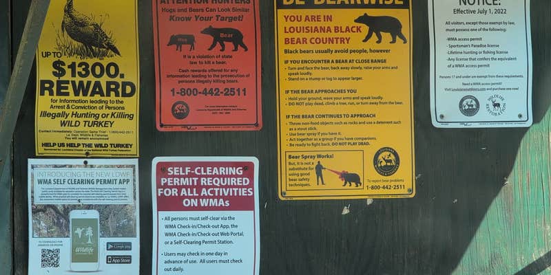 Camper submitted image from Ivan Lake Recreation Area