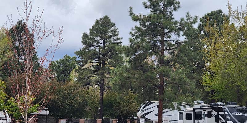 Camper submitted image from J & H RV Park