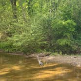 Review photo of J and J RV Park by Mackenzie M., April 14, 2026