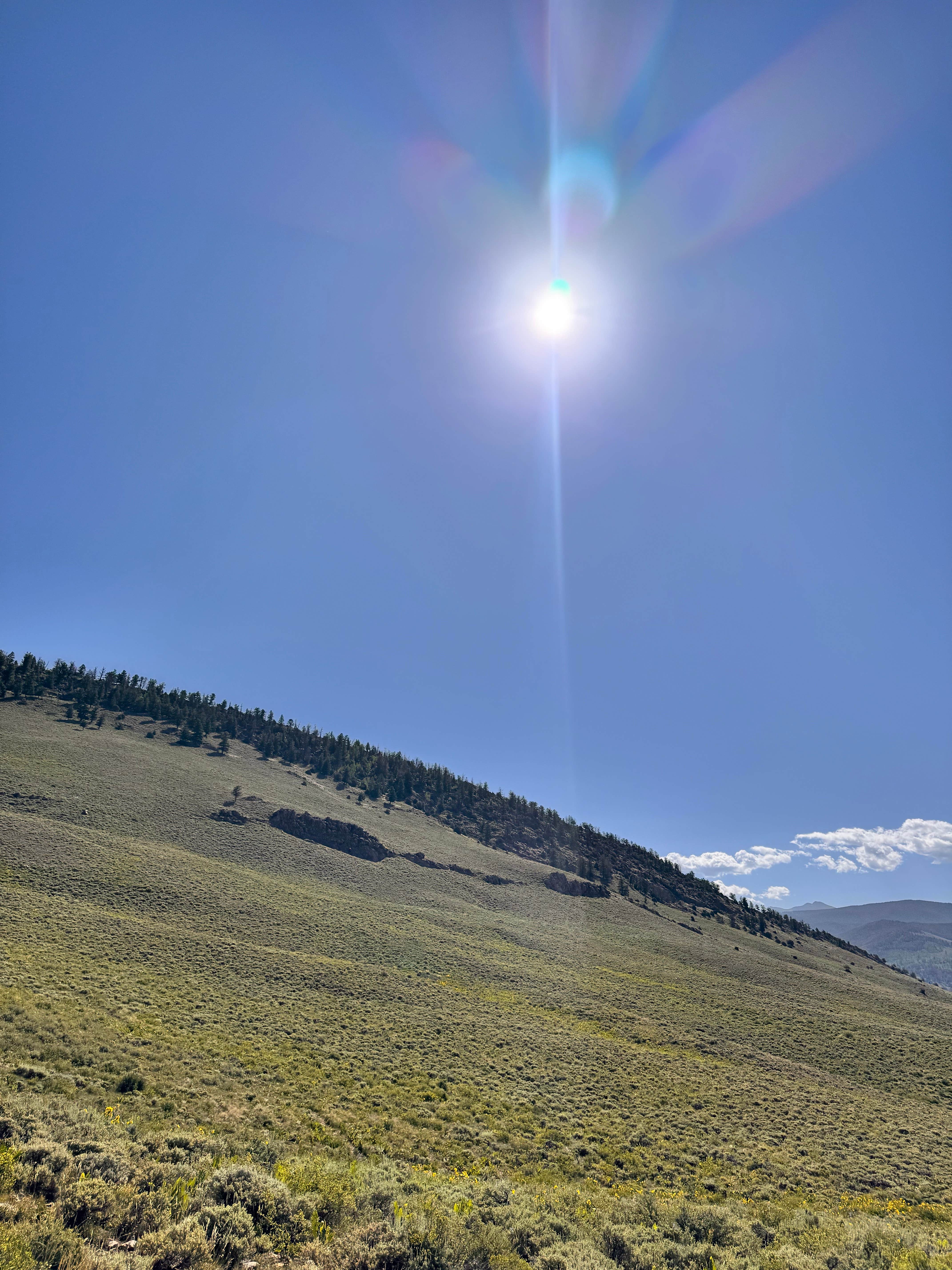 Camper submitted image from Jack’s Cabin Pass - 1