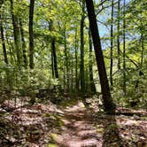 Review photo of Jackpine Hike-In Campground — Ludington State Park by Jeff B., June 22, 2024