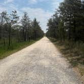 Review photo of Jackpine Hike-In Campground — Ludington State Park by Leah M., January 19, 2024