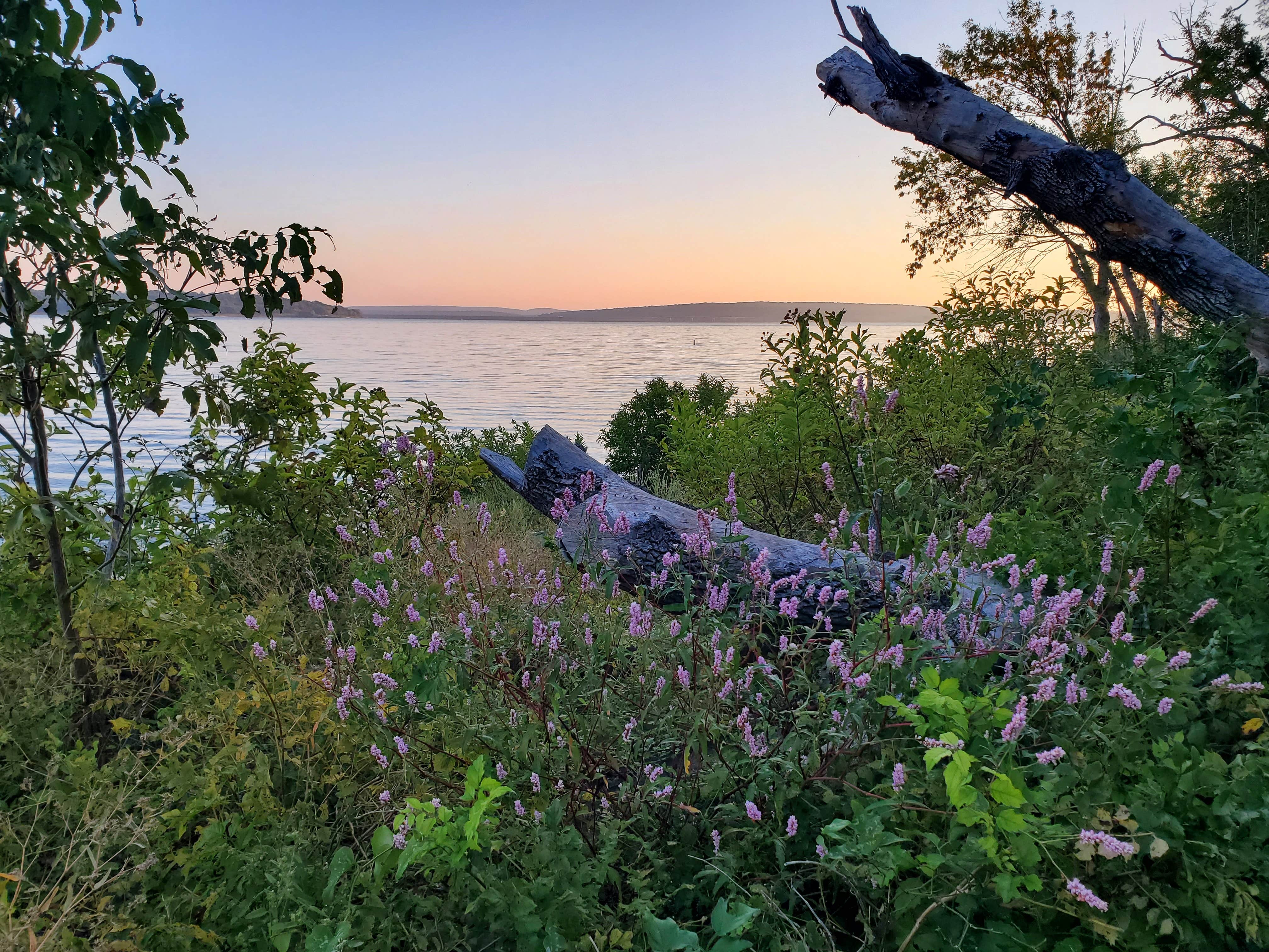 Jackson Bay Recreation Area