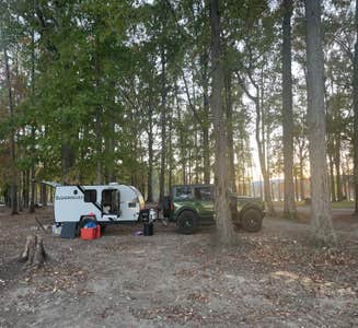 Camper-submitted photo from Jackson Island Dispersed Campground — Tennessee Valley Authority (TVA)