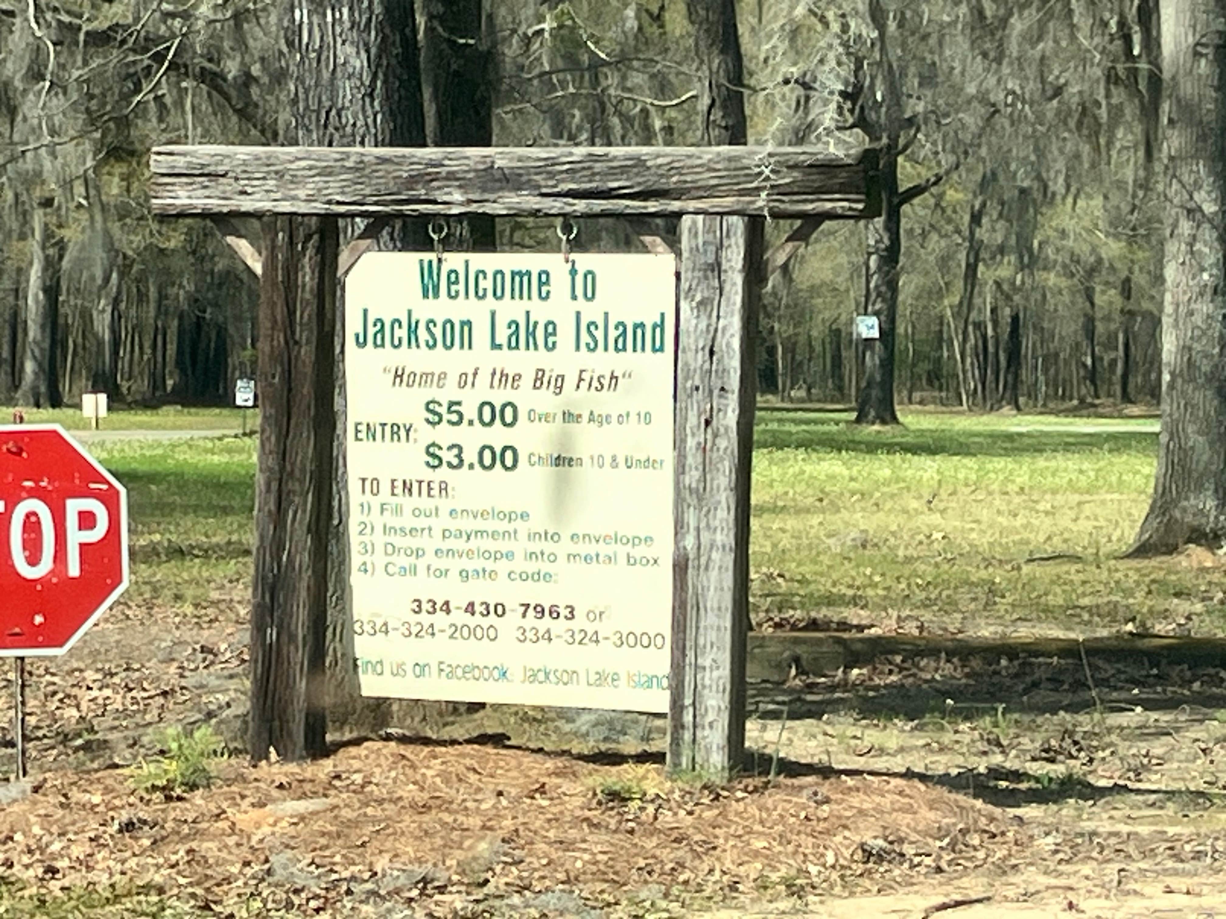 Camper-submitted photo at Jackson Lake Towne of Spectre near Marbury, AL