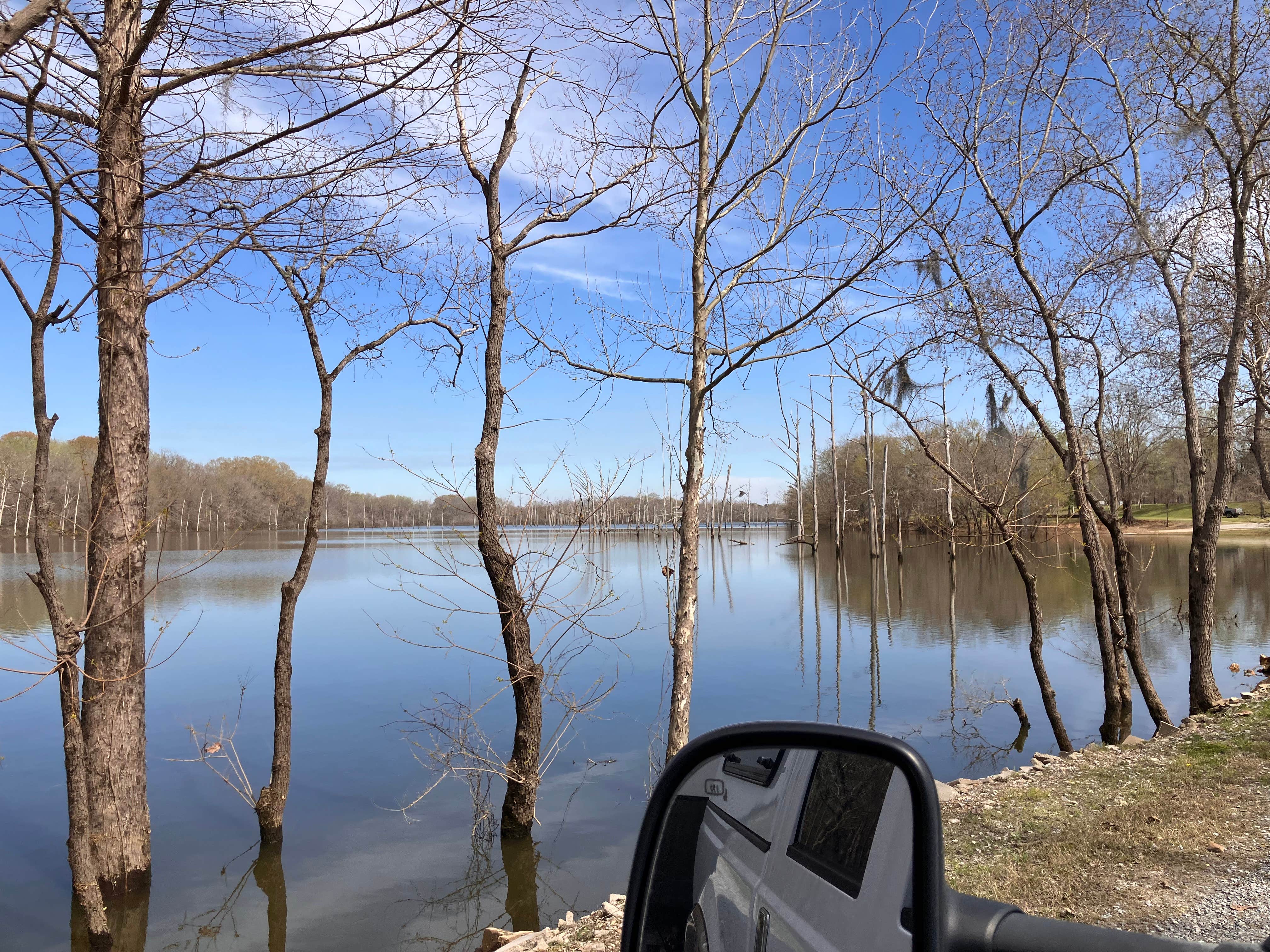Camper-submitted photo at Jackson Lake Towne of Spectre near Marbury, AL