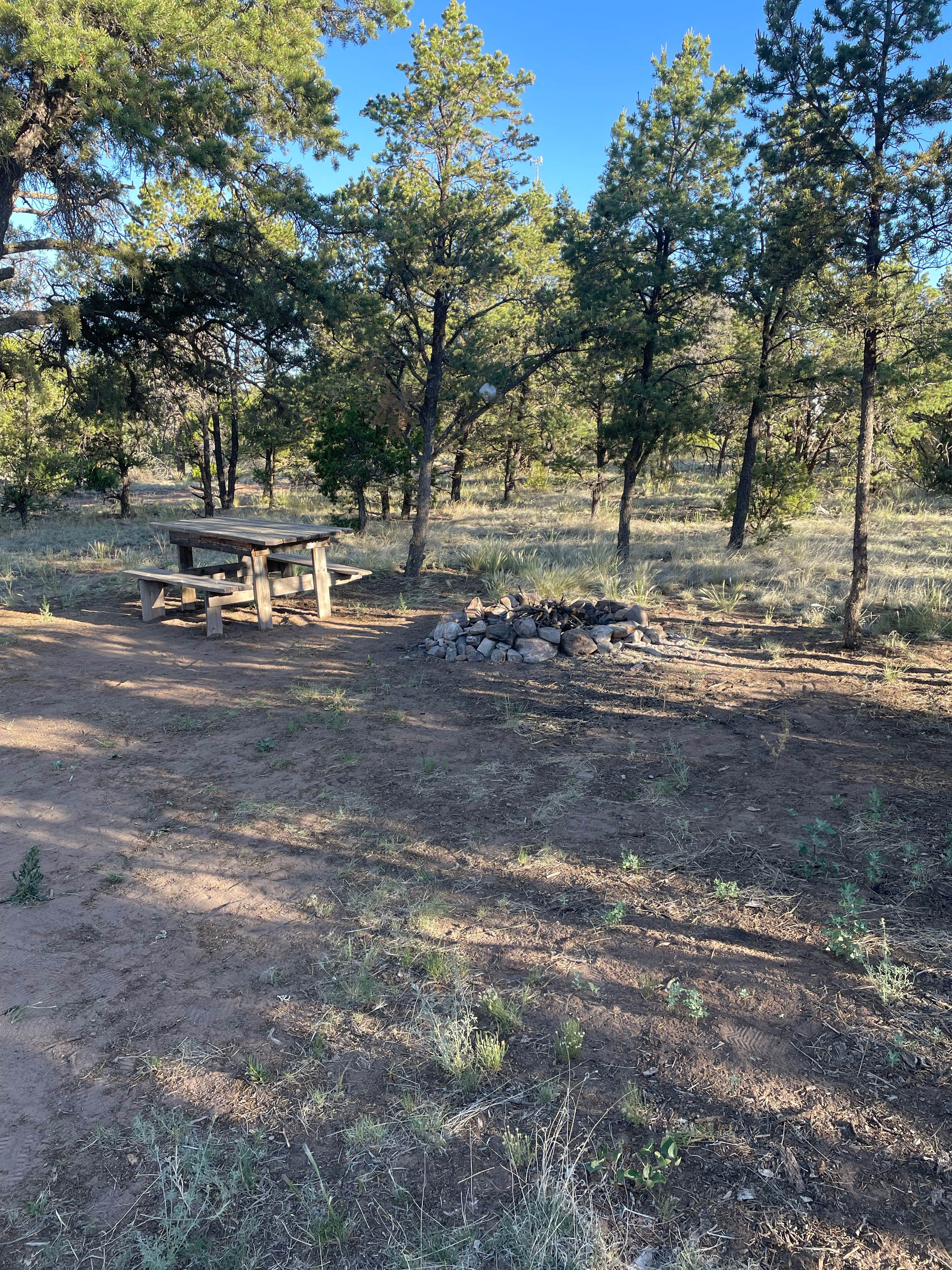Camper-submitted photo at Jackson Park Campground near Quemado, NM