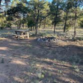 Review photo of Jackson Park Campground by John B., June 17, 2024