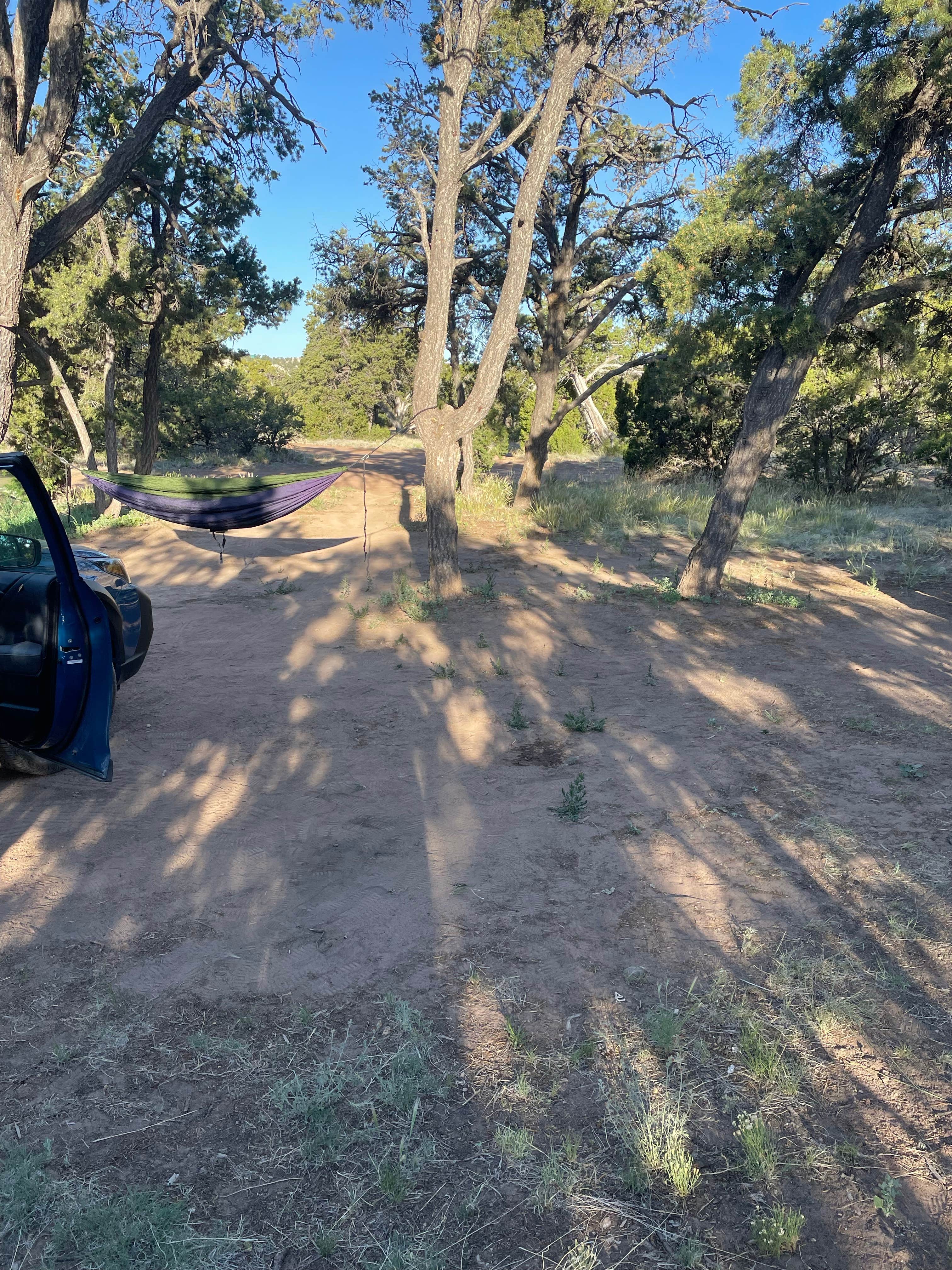 Camper-submitted photo at Jackson Park Campground near Quemado, NM