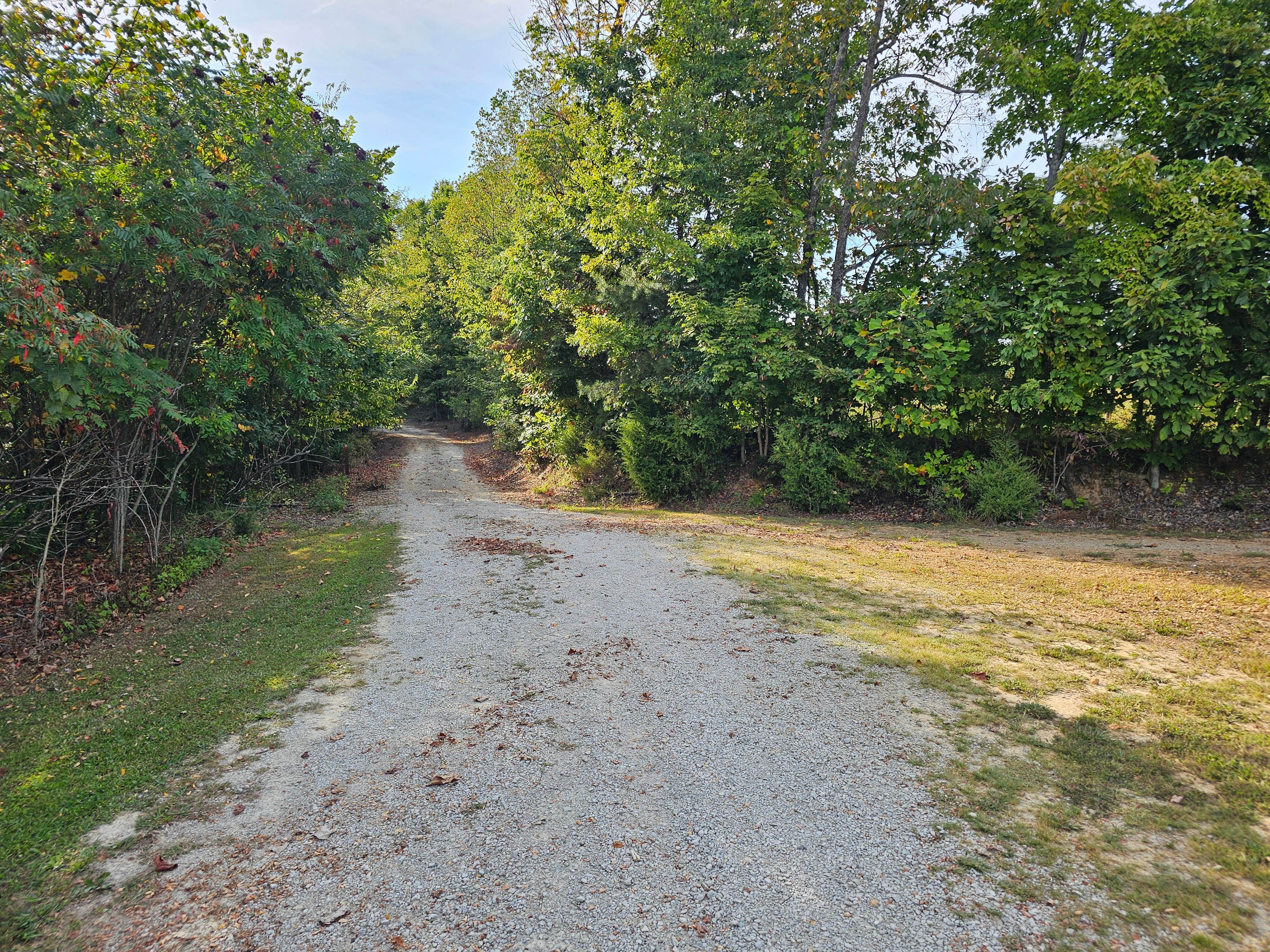 Camper submitted image from Jackson Trailhead - 2