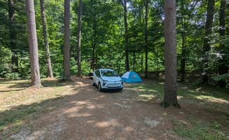 Fern B.'s photo at Jackson Washington State Forest near Scottsburg, IN