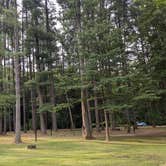 Review photo of Jackson Washington State Forest by Fern B., July 21, 2024