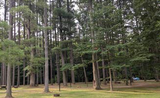 Fern B.'s photo of camping with pets at Jackson Washington State Forest near Seymour, IN