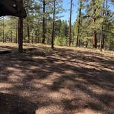 Review photo of Jacob Lake 89A Dispersed by Bea H., July 30, 2026