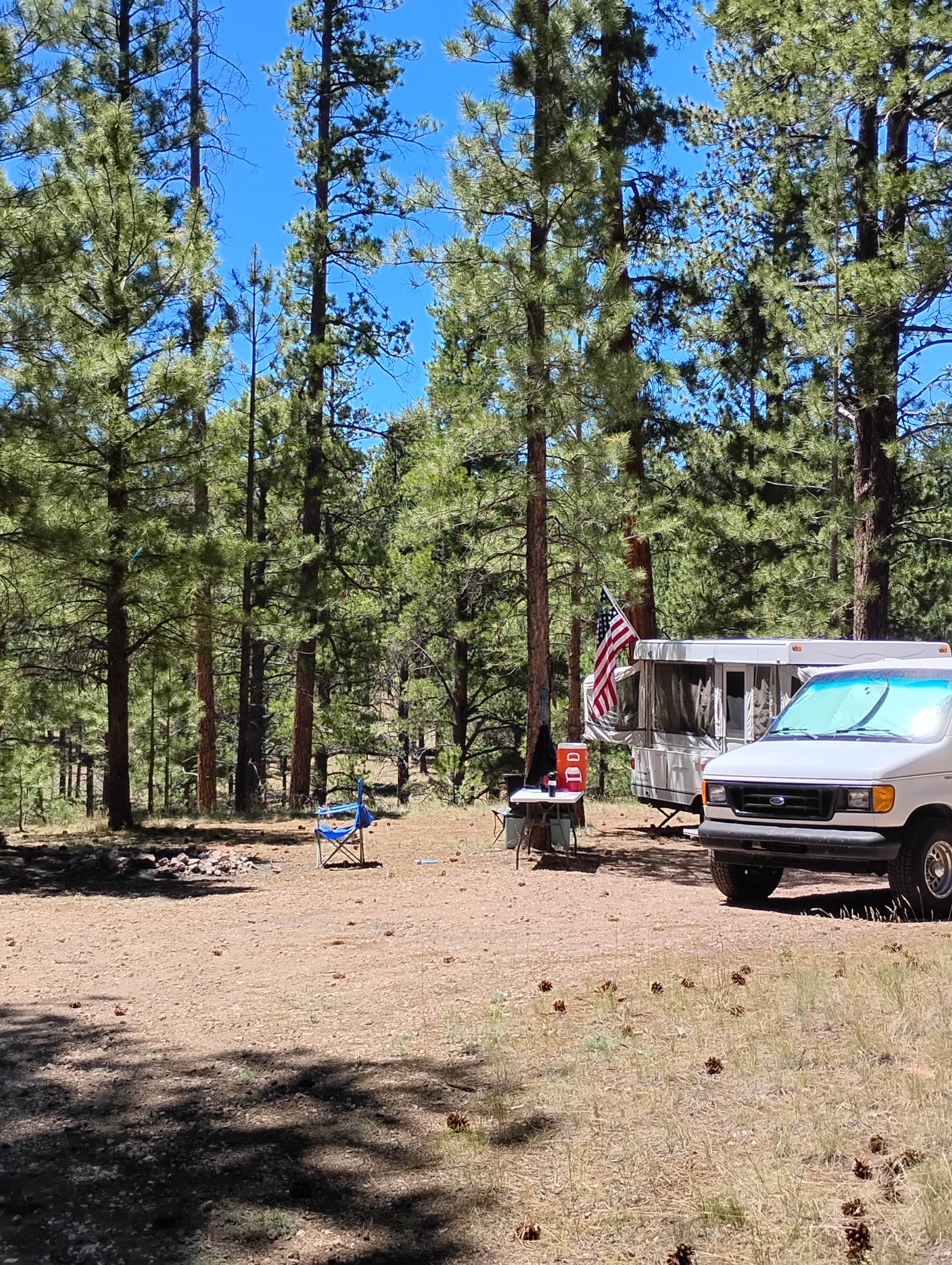 Camper submitted image from Jacob Lake 89A Dispersed - 2