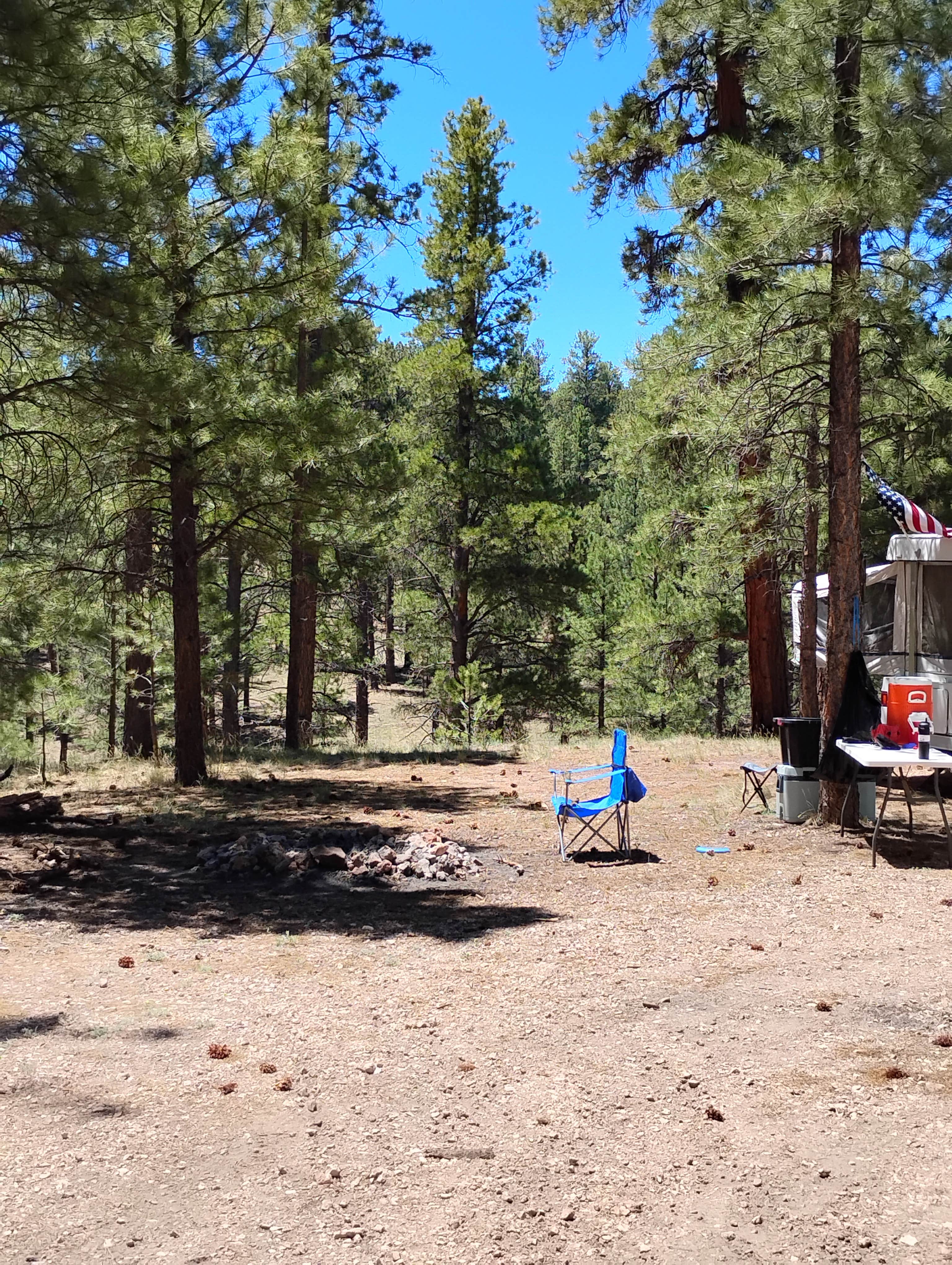 Camper submitted image from Jacob Lake 89A Dispersed - 1