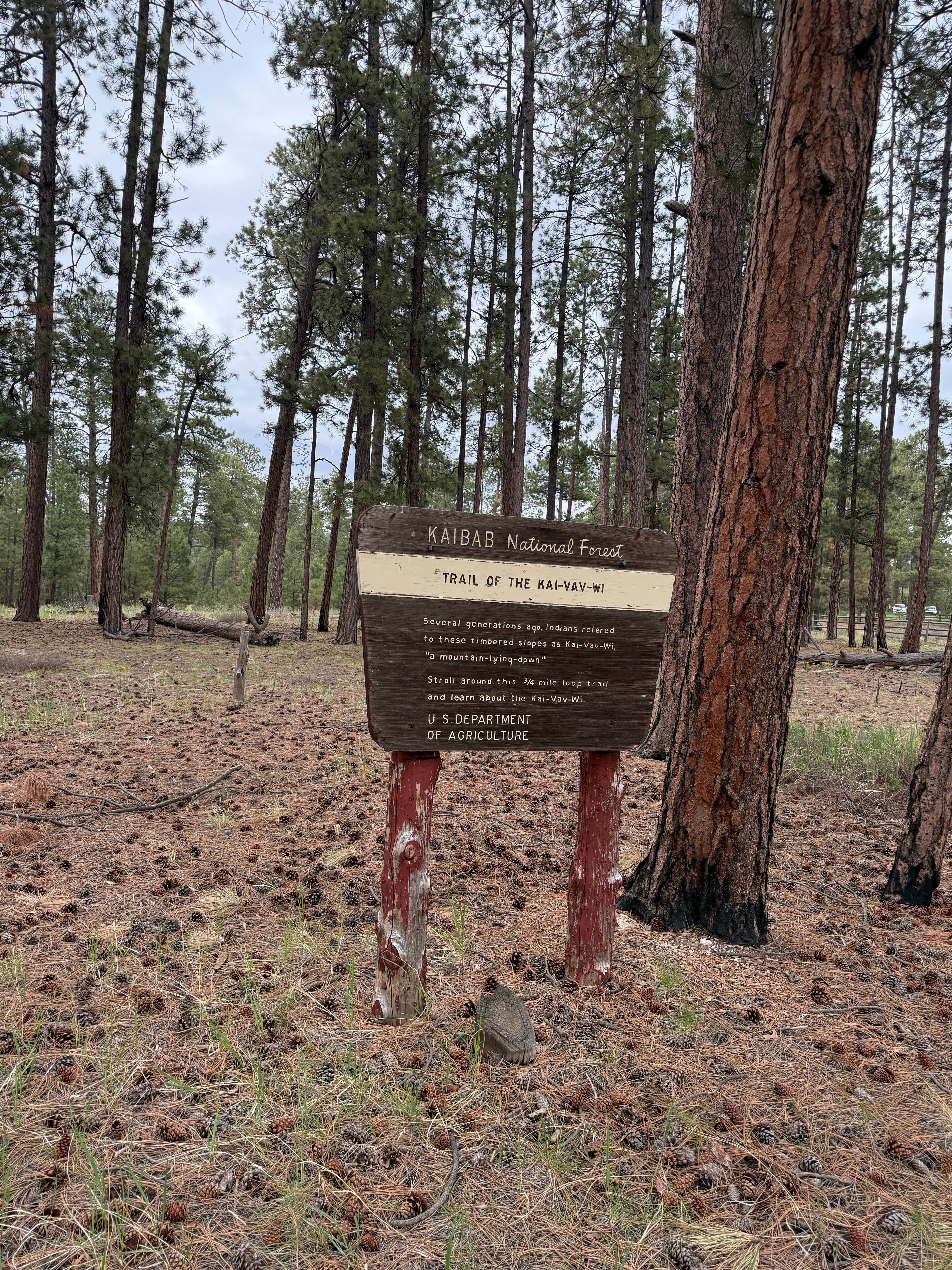 Camping near Kaibab Camper Village: Jacob Lake Group Campground and Picnic Area, Jacob Lake, Arizona