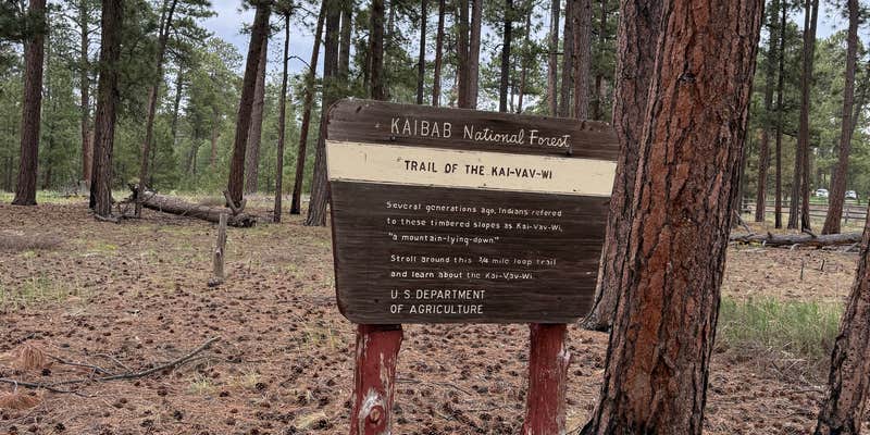 Camper submitted image from Jacob Lake Group Campground and Picnic Area