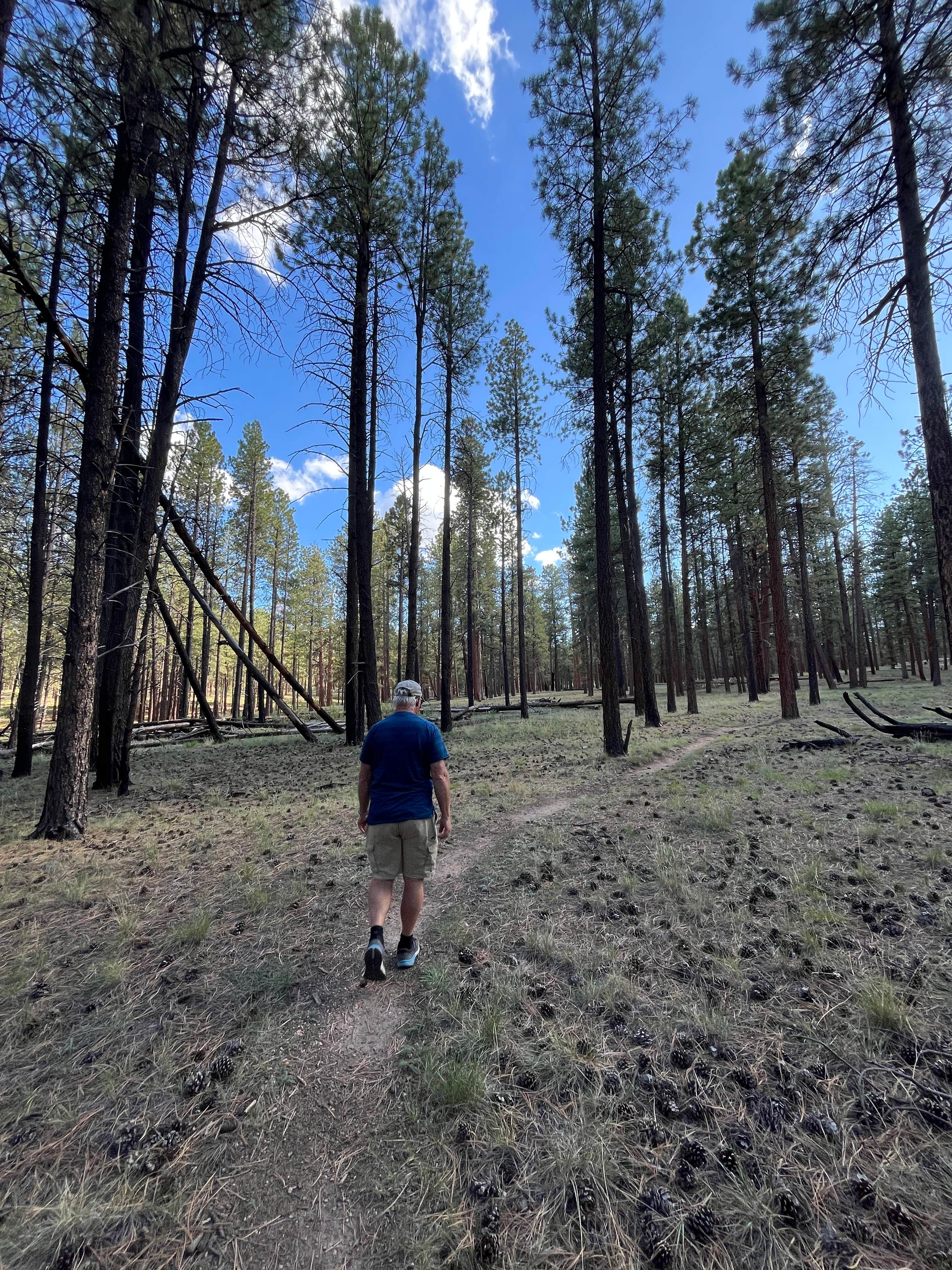 Camper-submitted photo at Jacob Lake Group Campground and Picnic Area near Marble Canyon, AZ