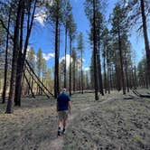 Review photo of Jacob Lake Group Campground and Picnic Area by Wanda C., September 16, 2026