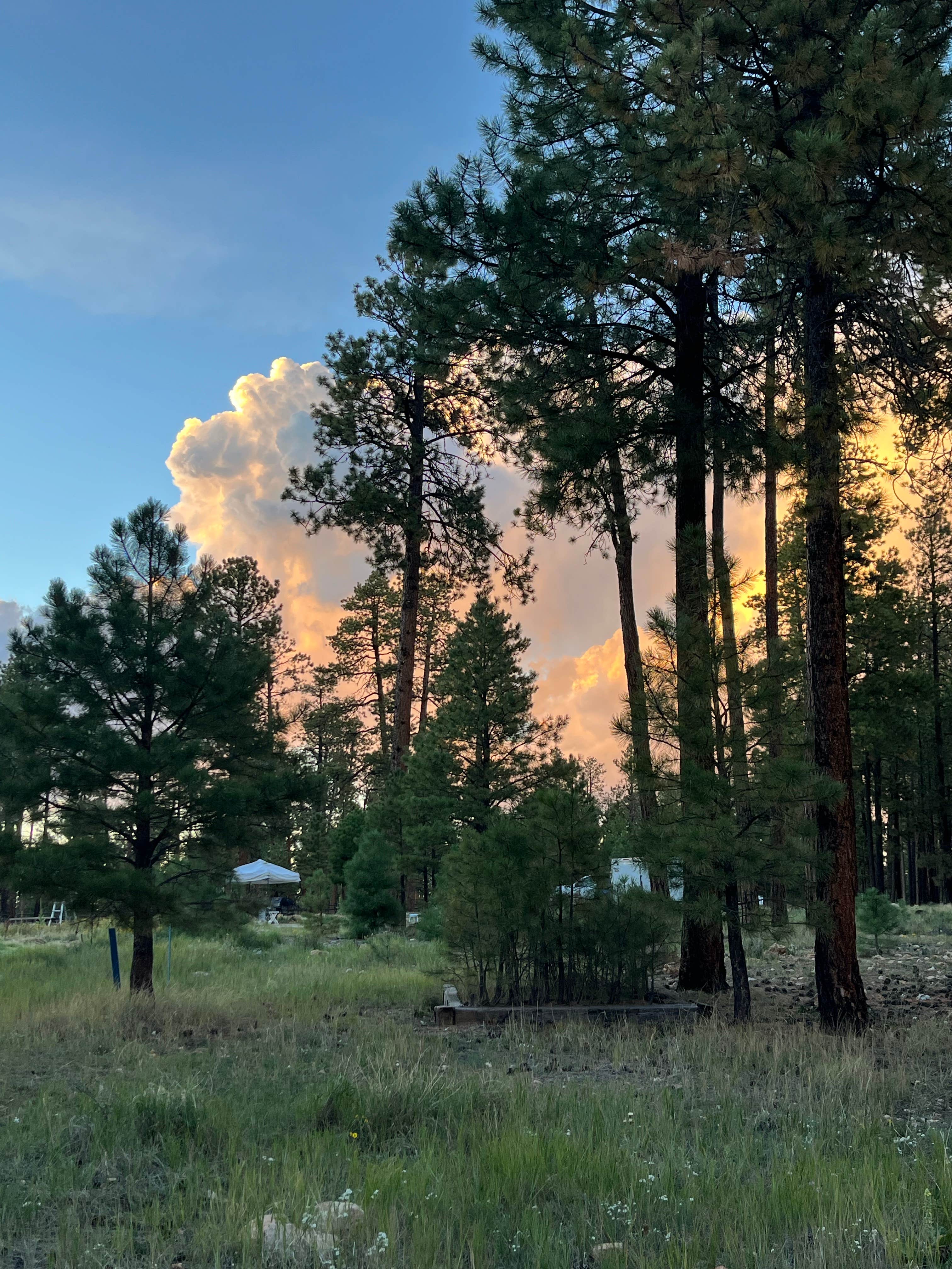 Camper-submitted photo at Jacob Lake Group Campground and Picnic Area near Marble Canyon, AZ