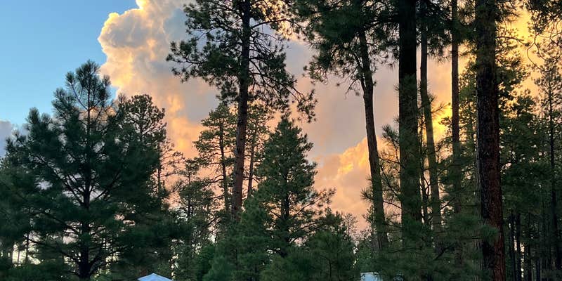 Camper submitted image from Jacob Lake Group Campground and Picnic Area