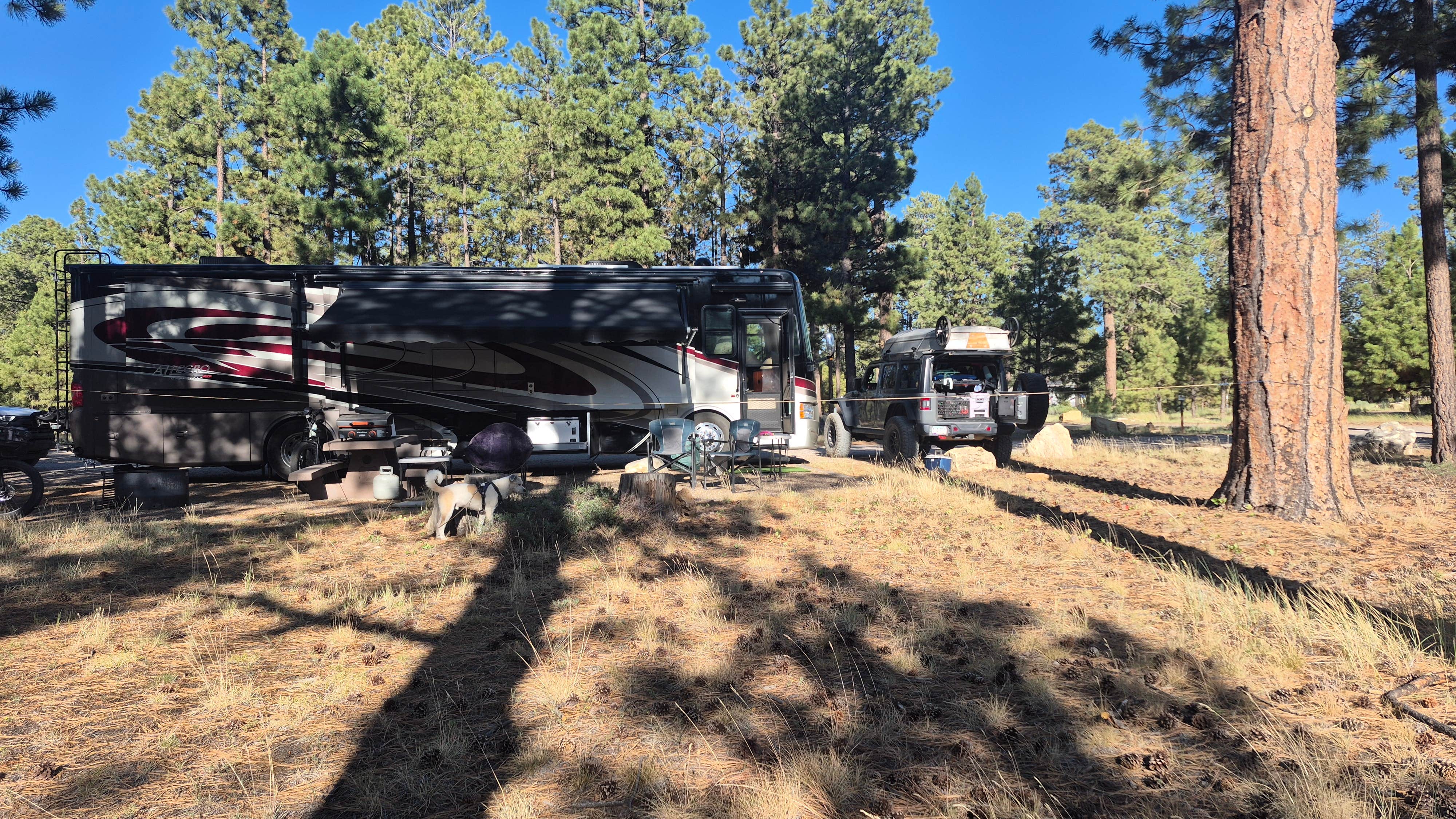 Sheila's photo of camping with pets at Jacob Lake Campground - Kaibab National Forest near Supai, AZ