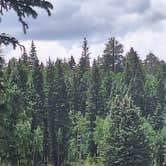 Review photo of Jacob Lake Campground - Kaibab National Forest by Michael A., July 13, 2025