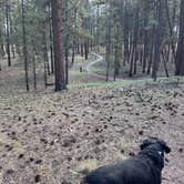 Review photo of Jacob Lake Campground - Kaibab National Forest by James B., October 25, 2024