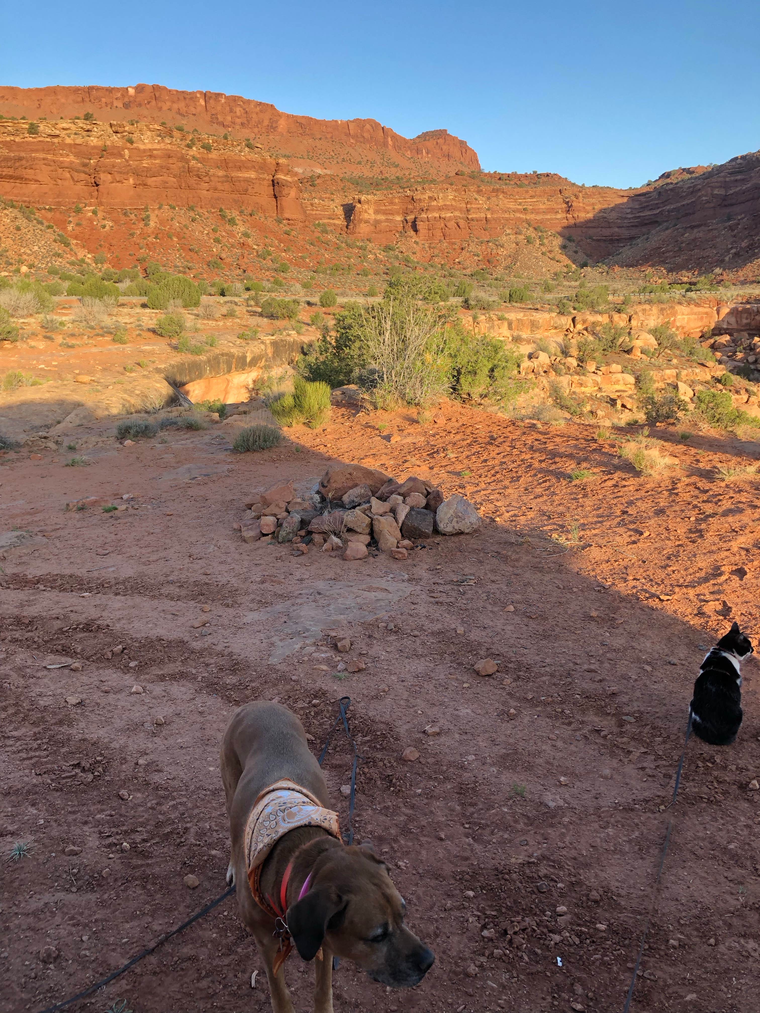 Camper submitted image from Jacob's Chair Trail Basecamp - 4