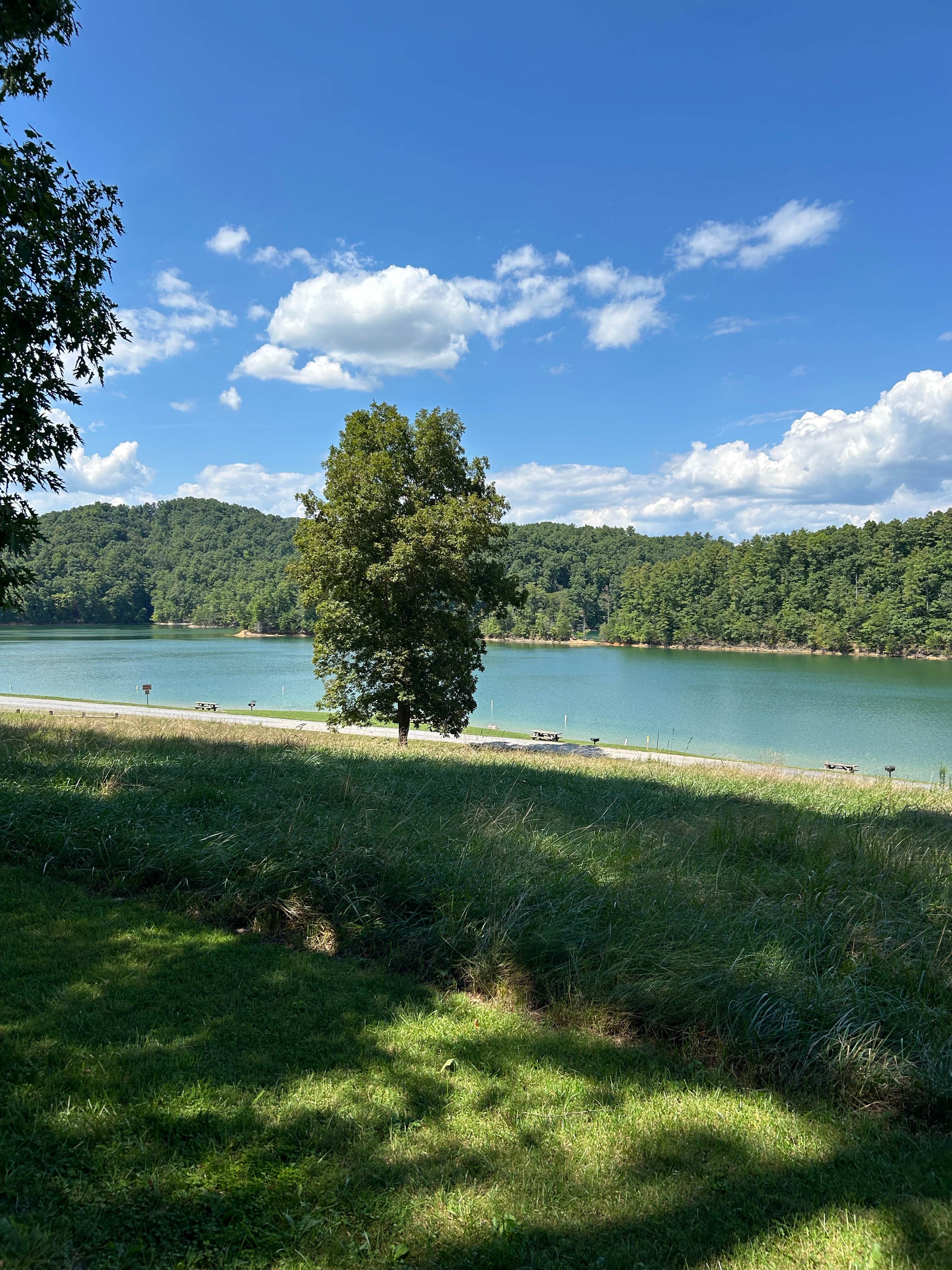 Camper submitted image from Jacobs Creek Campground (Tn) — Cherokee National Forest - 1