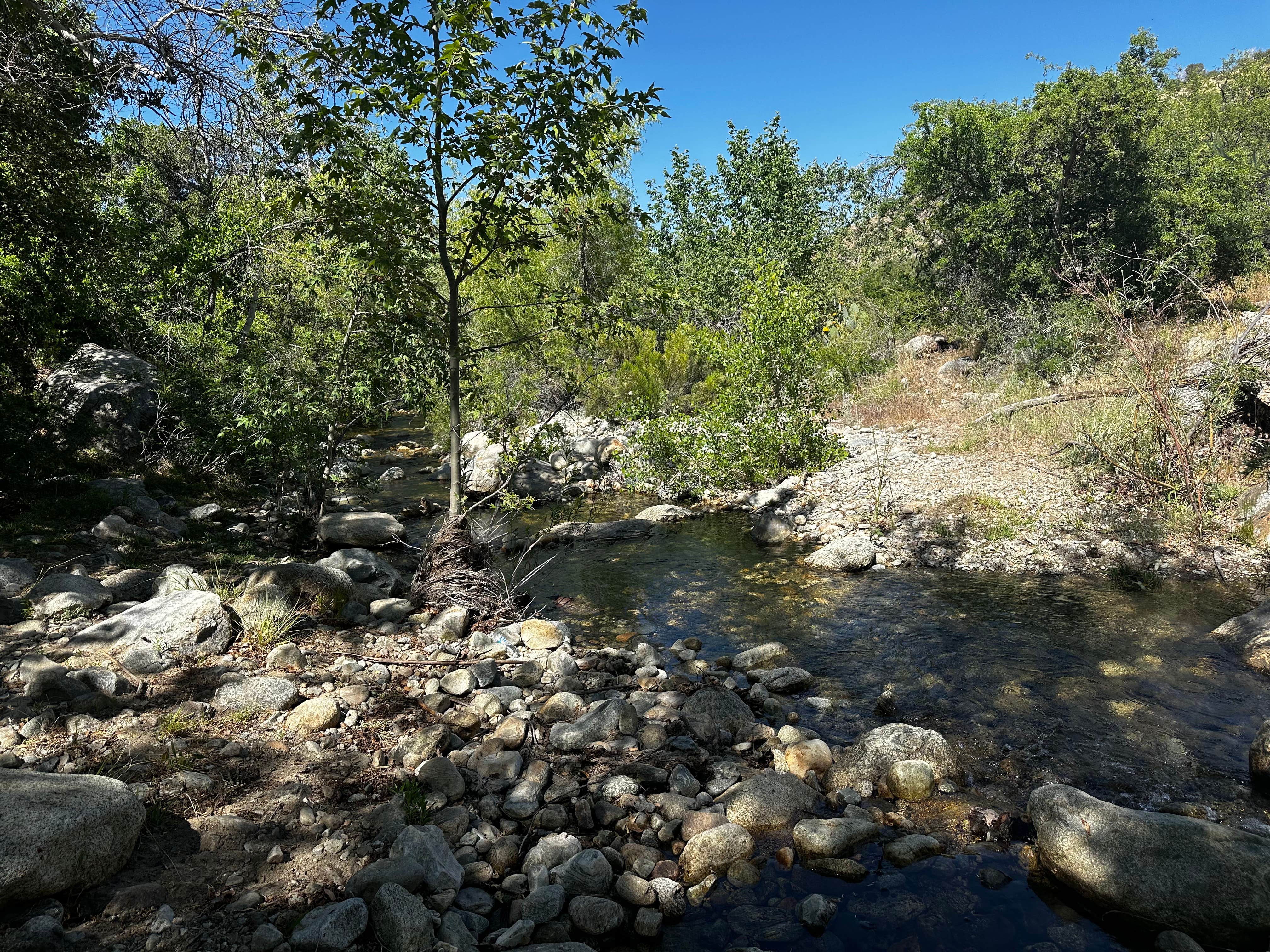 Camper-submitted photo at Jacobson Canyon Overlook near Pima, AZ