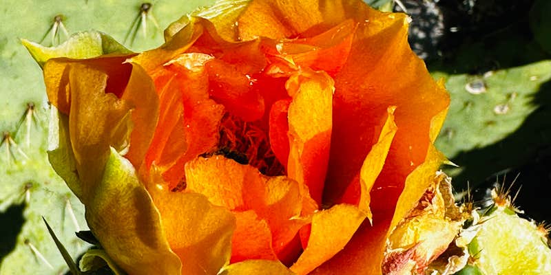 Camper submitted image from Jacobson Canyon Overlook