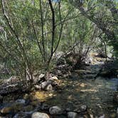 Review photo of Jacobson Canyon Overlook by Shane W., May 26, 2024