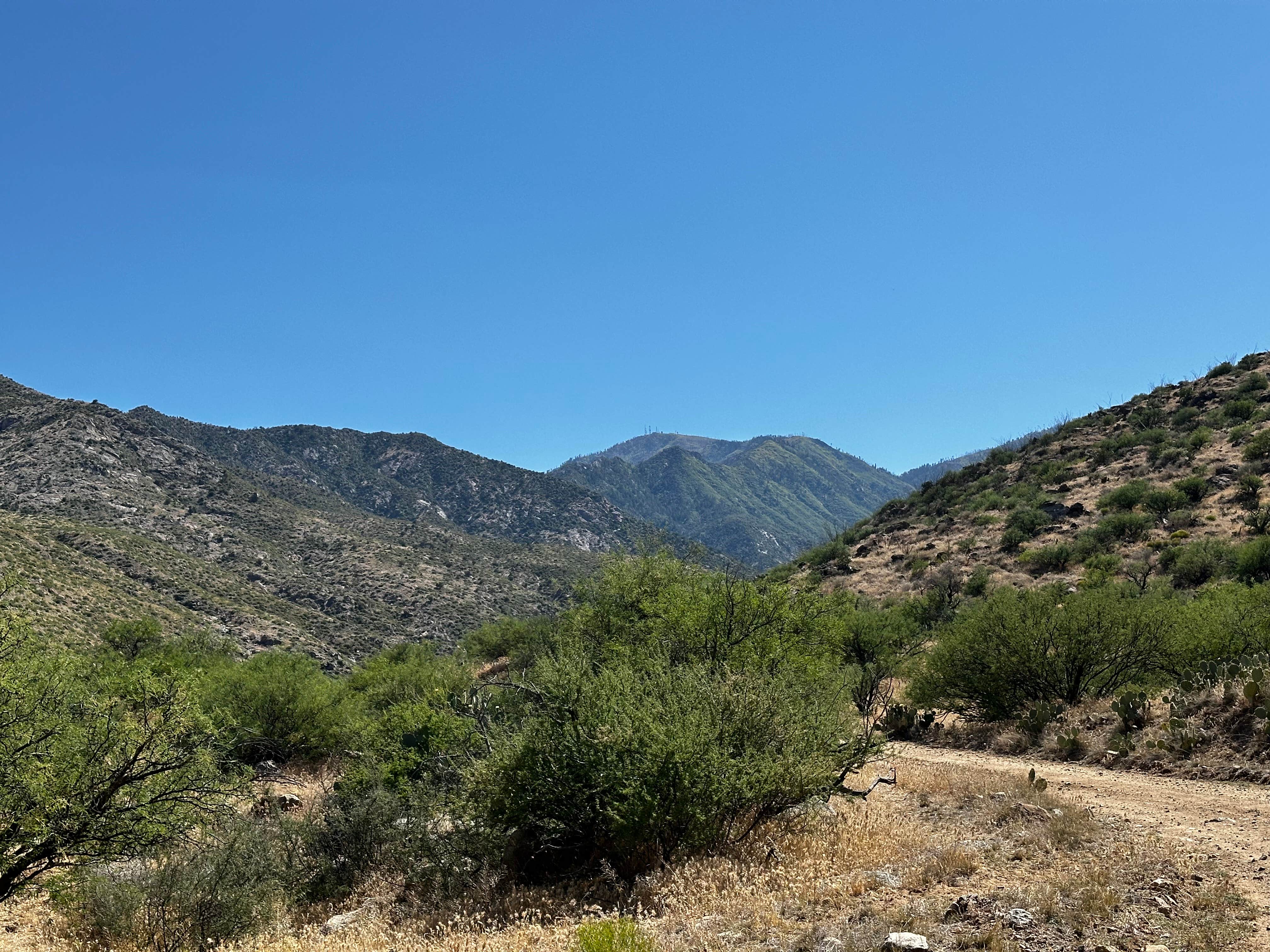 Camper submitted image from Jacobson Canyon Overlook - 3