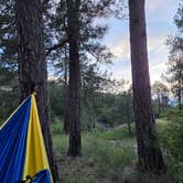 Review photo of James Canyon Campground by Kenneth B., August 16, 2026