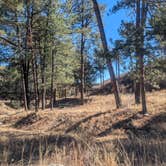 Review photo of James Canyon Campground by Vidalia S., January 15, 2026