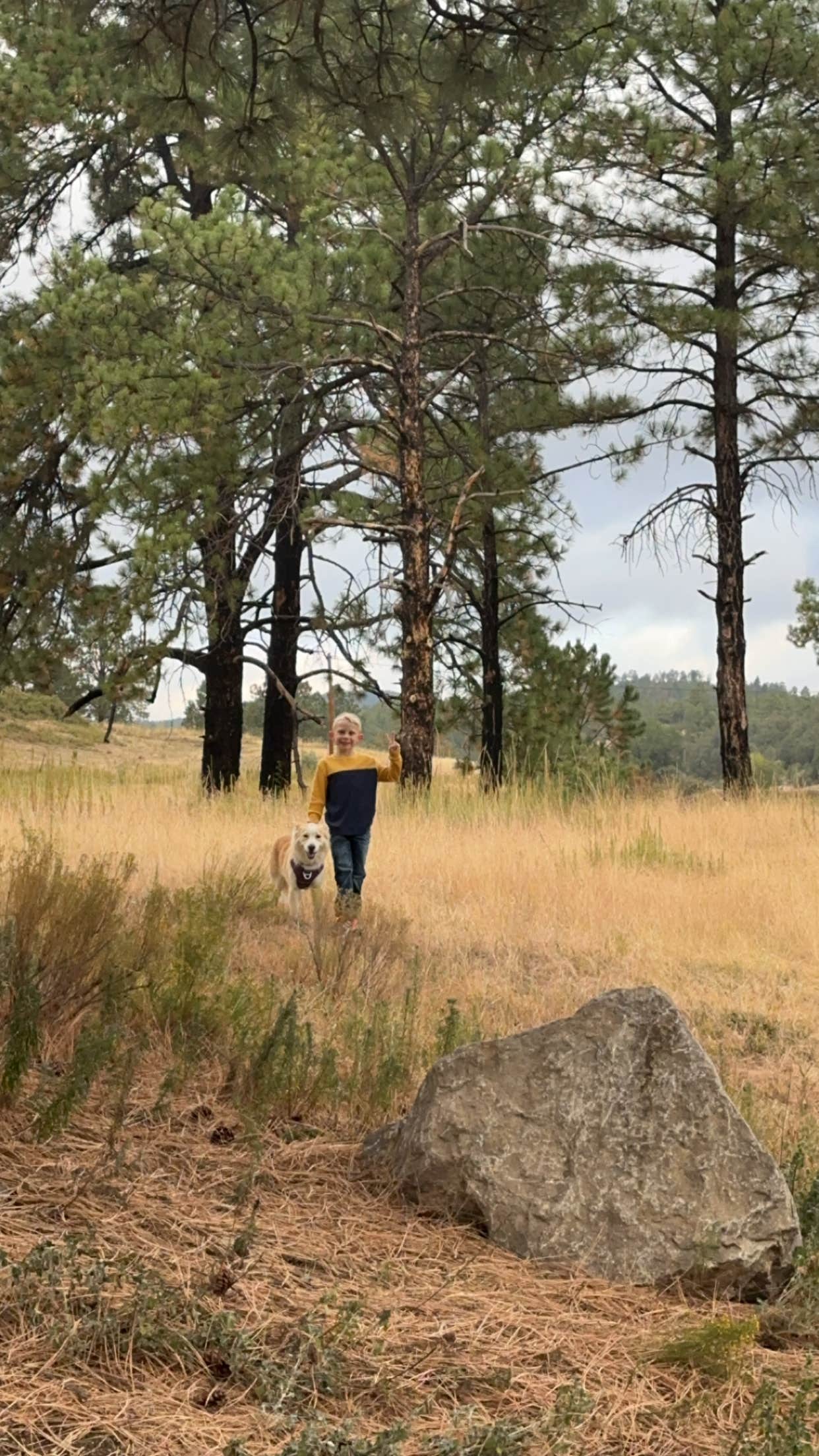 K&S Adventures !.'s photo of camping with pets at James Canyon Campground near Cloudcroft, NM