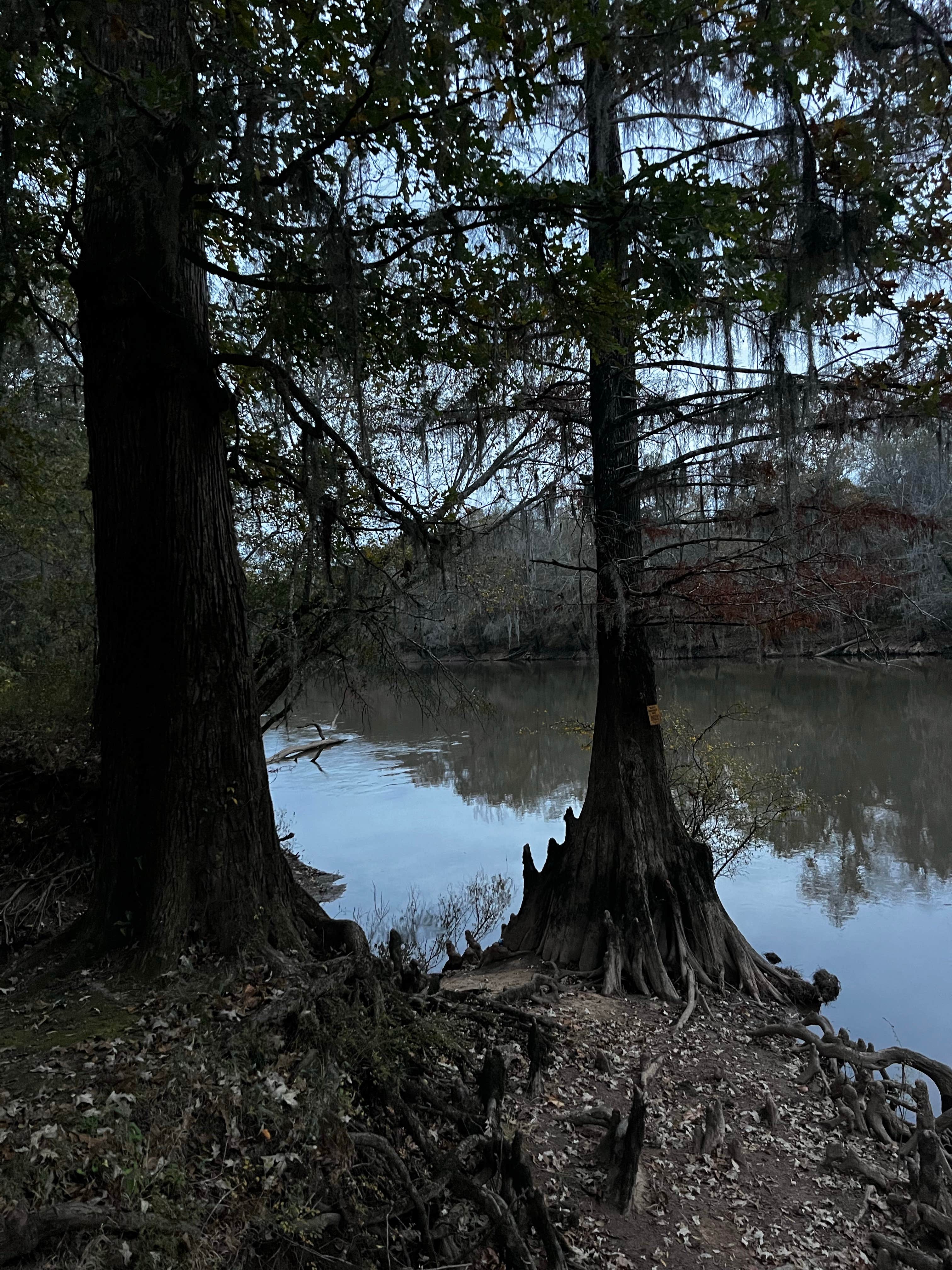 Camper-submitted photo at James Dykes Memorial Park Campsite near Warner Robins, GA
