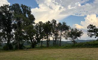 L H.'s photo of a dispersed camping area at James River Wildlife Management Area near Ruckersville, VA