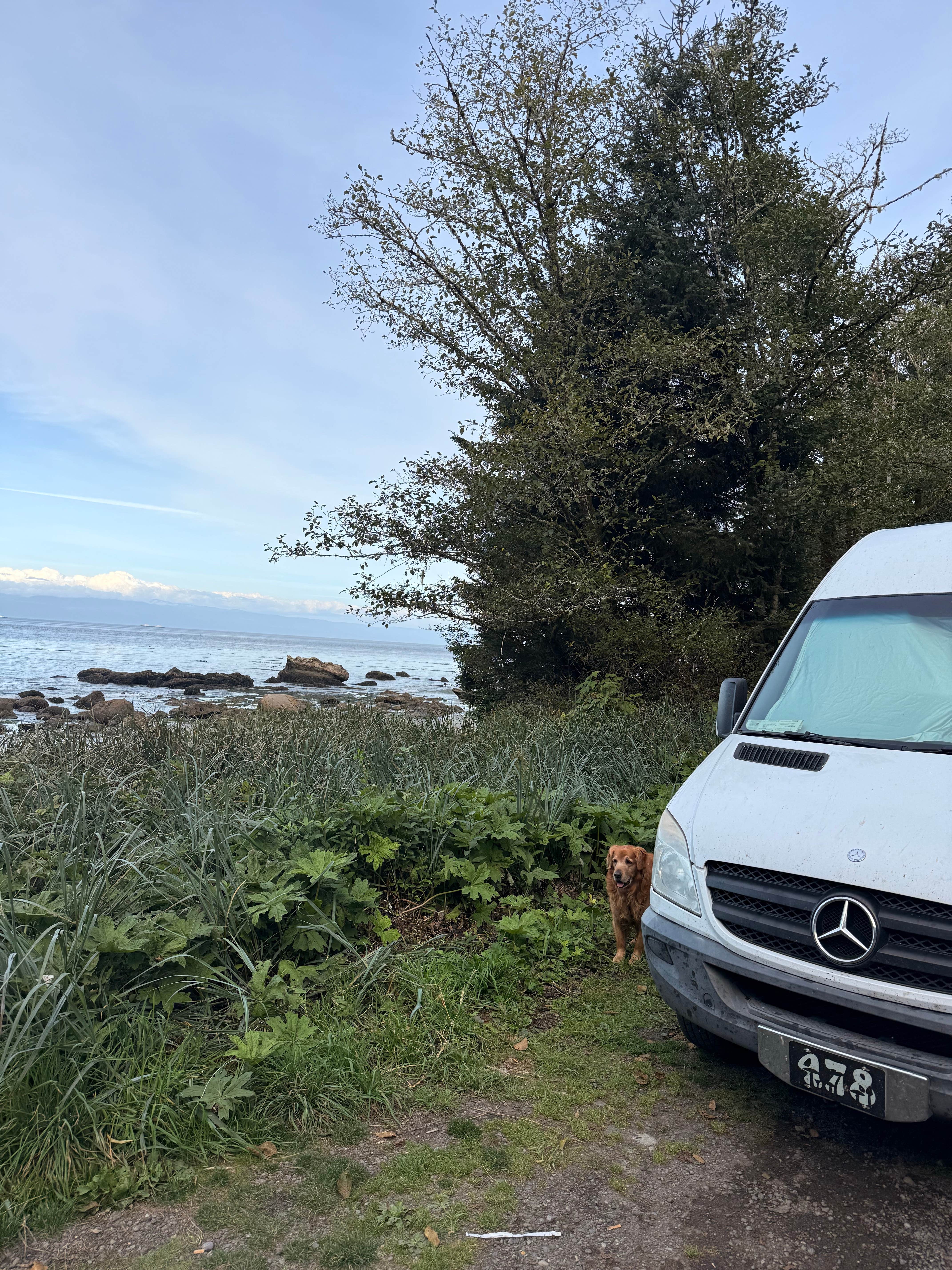 Camper-submitted photo at Jansen Creek Beach Dispersed Campsite near Neah Bay, WA