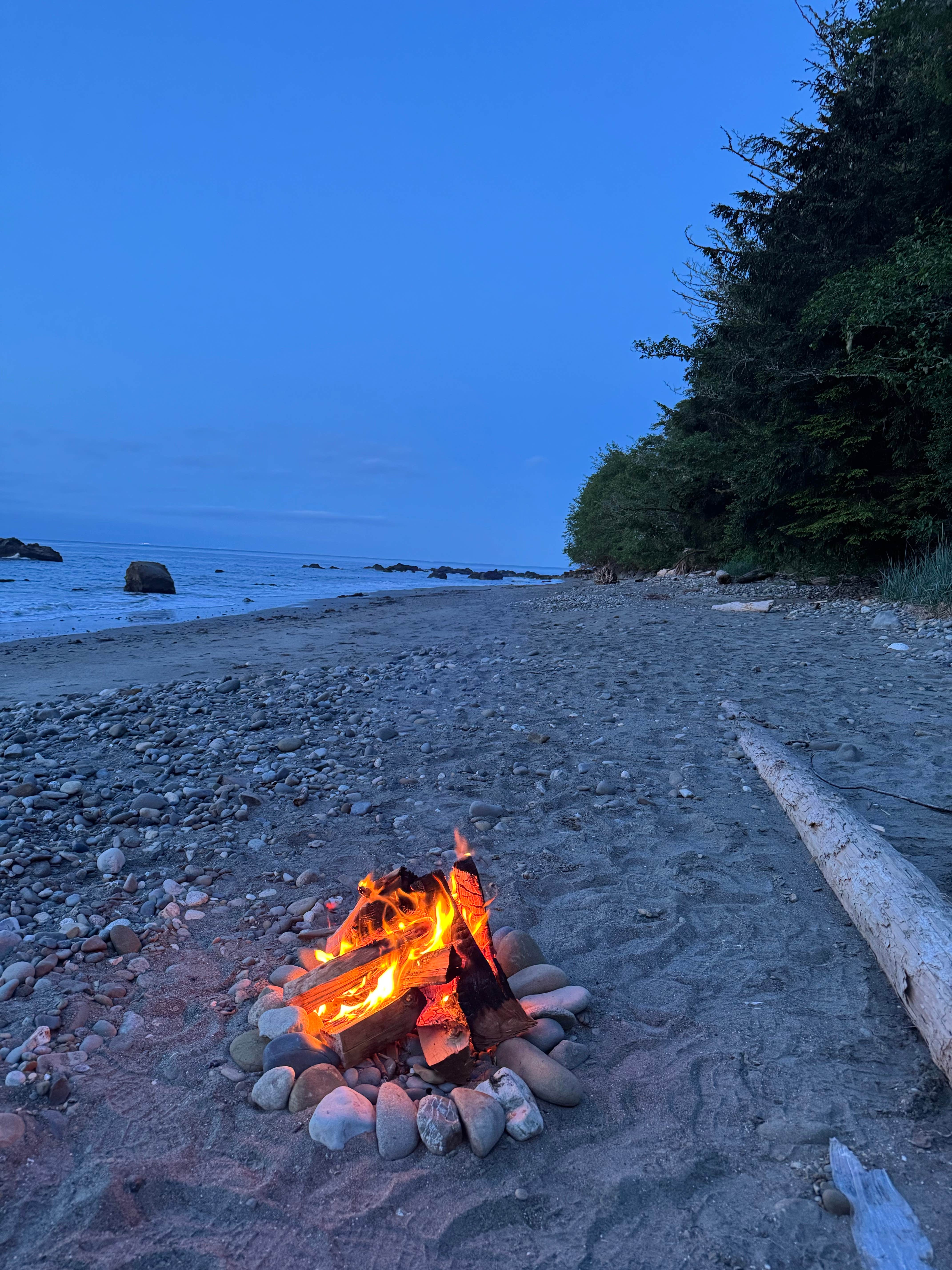 Camper-submitted photo at Jansen Creek Beach Dispersed Campsite near Neah Bay, WA